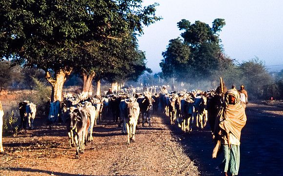 47300_SL_COLOR_INDIA_1987_7