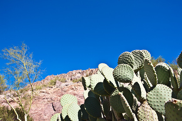 0031_La_Arizona_5L8Y5208