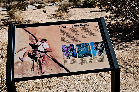 06646_DG_COLOR_JOSHUA_TREE_NAT_PARK_29_PALMS_CALIFORNIA_CA_USA_2007_ZV4N_454
