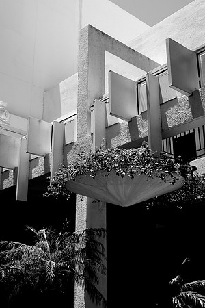 36181_DG_Color_USA_Bal_Harbour_FL_Related_Group_Bal_Harbour_ShopsZV4N9461