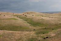 0044_North_Dacota_Fargo_to_South_Rapid_City_TO_CHEYENNE_5L8Y4245