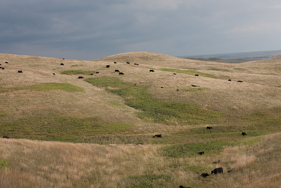 0044_North_Dacota_Fargo_to_South_Rapid_City_TO_CHEYENNE_5L8Y4245