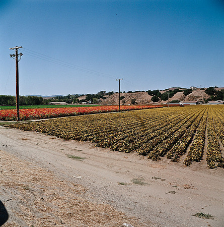 6032_COLOR_SQ_PACIFIC_HWY_AND_SLOVANG_CA_USA_05.jpg