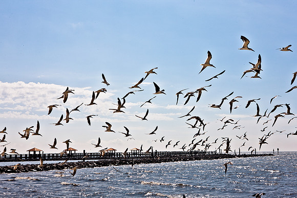 0036-NEW_ORLEANS_TO_PANAMA_CITY_BEACH_5L8Y1163