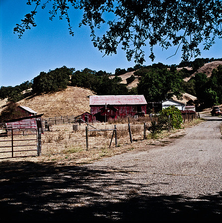 6035_FILM_COLOR_SAN_LOUIS_05_USA_CA_6.jpg