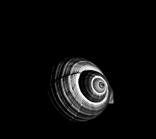 42420_FM_4X5_BW_GIANT_TUM_FL_0405.jpg