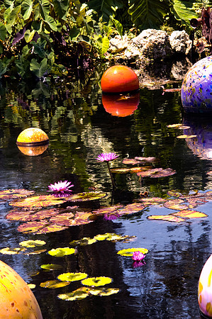 84775_DSC_0102_Fairchild_Garden_Miami_FL_USA