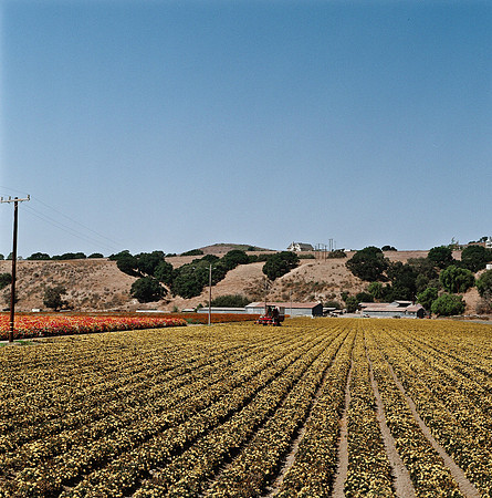 6032_COLOR_SQ_PACIFIC_HWY_AND_SLOVANG_CA_USA_05_4.jpg