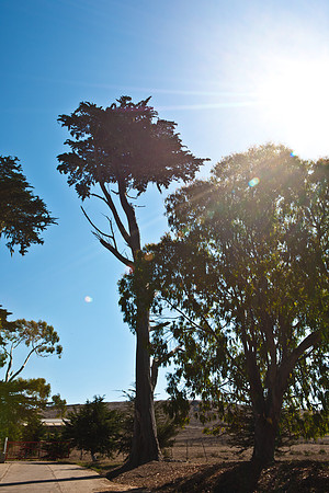 0026_DG_Botega_CA_USA_2009_5L8Y1671