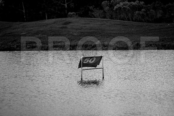 36205_DG_BW_USA_Osceola_County_Celebration_Town_FLZV4N8347