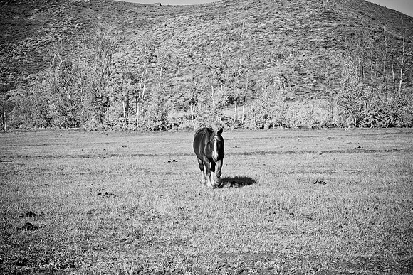 0021_Wyonming_To_Ketchem_Sun_Valley_ID_5L8Y80021_012