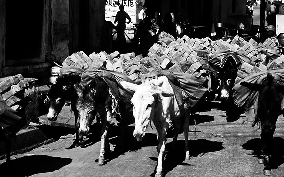 47264_SL_COLOR_INDIA_1987_2
