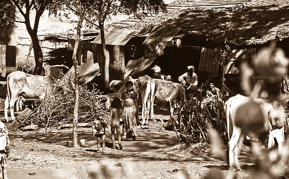 47290_SL_COLOR_INDIA_1987_19
