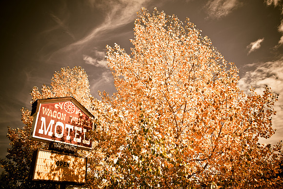 0019_Aspen_To_Jackson_Hole_Wyoming_5L8Y6787