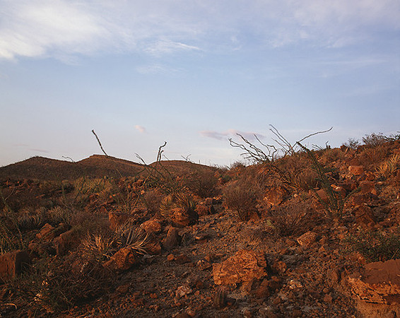 4000_20080719_ADS_Mexican_Landscape_Mexico_104