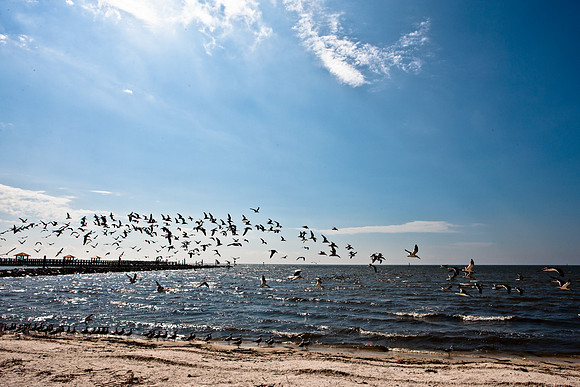 0036-NEW_ORLEANS_TO_PANAMA_CITY_BEACH_5L8Y1173