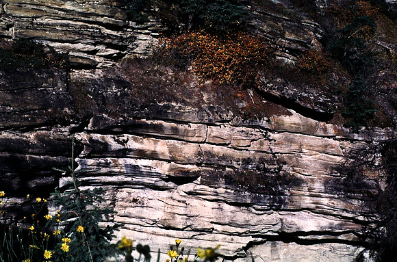 06835_B19_SL_COLOR_ATHABASCA_FALLS_ONE_OF_JASPER_NAT_PARK_BC_WS_97_13.jpg