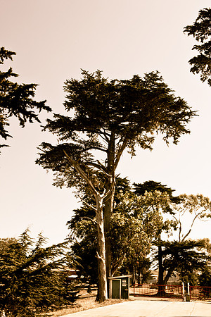 0026_DG_Botega_CA_USA_2009_5L8Y1669