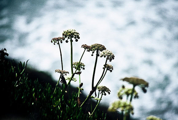 47389_B3_SL_COLOR_SURROUNDINGS_NE_97_19.jpg