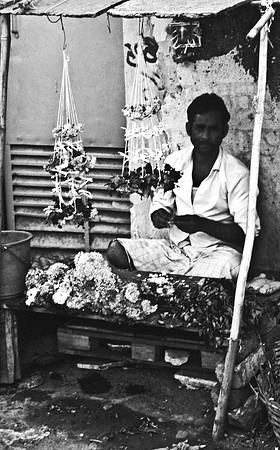 47262_SL_COLOR_INDIA_1987_6