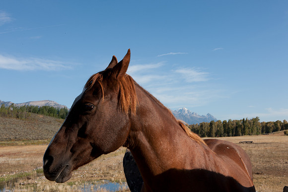 0020_Wyonming_To_Ketchem_Sun_Valley_ID_5L8Y7458