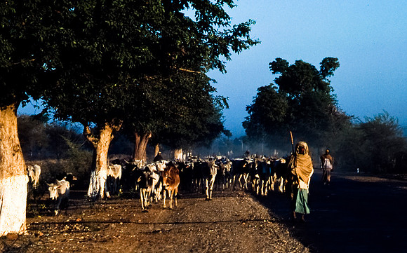 47300_SL_COLOR_INDIA_1987_6