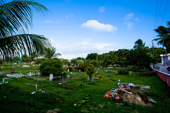 36291_DG_Color_West_Indies_Harbour_Island_BahamasZV4N2208