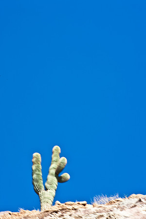 0031_La_Arizona_5L8Y5492