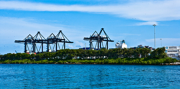 42590_Miami_2008_ZV4N6538