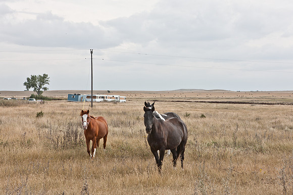 0044_North_Dacota_Fargo_to_South_Rapid_City_TO_CHEYENNE_5L8Y4146