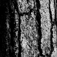 7571_FM_BW_CA_01_2.jpg