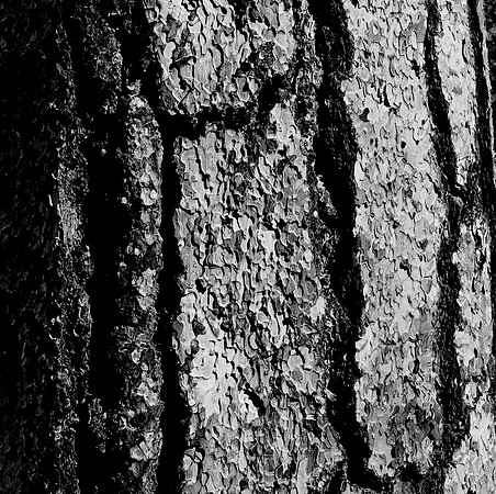 7571_FM_BW_CA_01_2.jpg