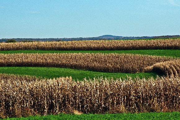 0337_FM_COLOR_MINESOTA_99_75.jpg