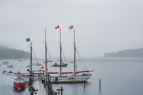 20060627_Maine_ZV4N1039