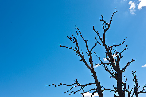 0020_Wyonming_To_Ketchem_Sun_Valley_ID_5L8Y7826