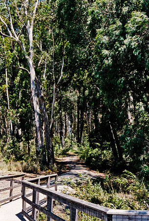 3906_FM_BOX_I_COLOR_35MM_NSM_AUSTRALIA_2008_7