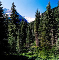 36096_6_03_COLOR_SQ_Glasier_MONTANA_03__FILM_COLOR_LR_USA_ID (5).jpg