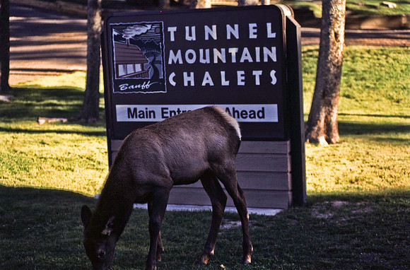 06820_B19_SL_COLOR_BANFF_NAT_PARK_LAKE_LOUIS_WS_97_07.jpg