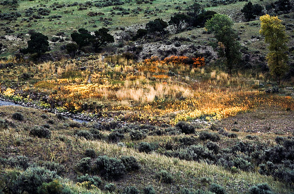 47653_B11_SL_COLOR_ENTRANCE_YELLOWSTONE_WY_97_07.jpg