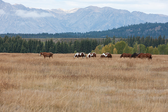 0020_Wyonming_To_Ketchem_Sun_Valley_ID_5L8Y7393
