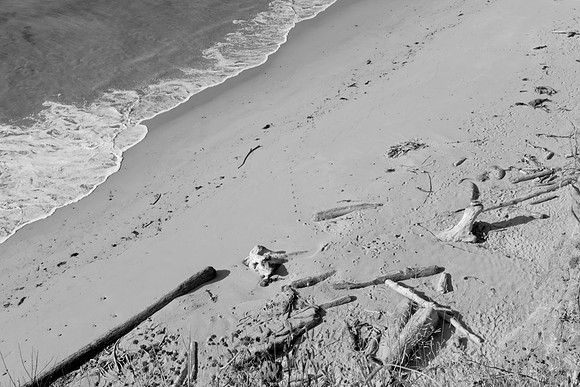 5L8Y0789