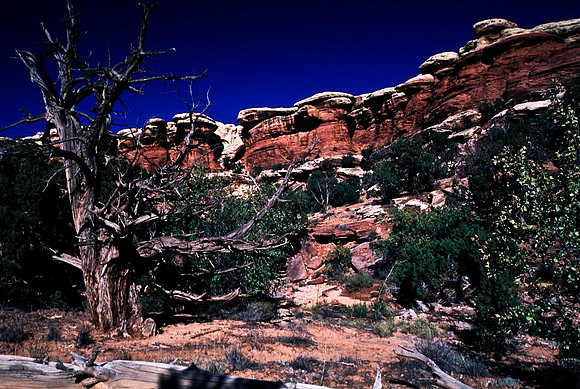 06790_B10_SL_COLOR_CANYONLAND_NAT_PARK_UT_97_01.jpg