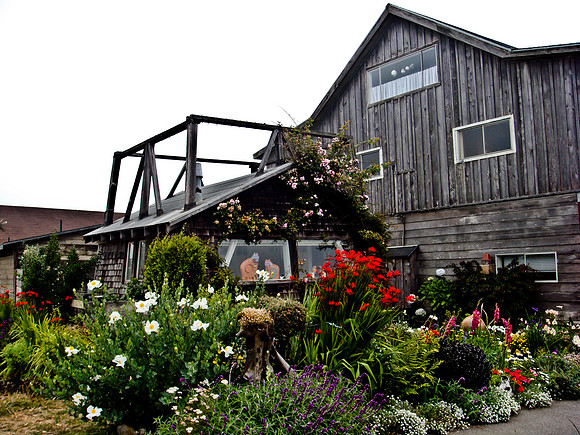 36538_DG_COLOR_MENDOCINO_CALIFORNIA_CA_USA_2007_DSC_01667