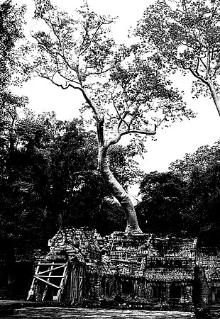 62456_2008_FM_BW_Temples_SlemReap_Cambodia_017