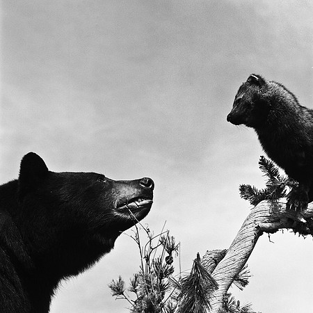 6096_FM_BW_INDEPENDENCE_CO_05_4.jpg