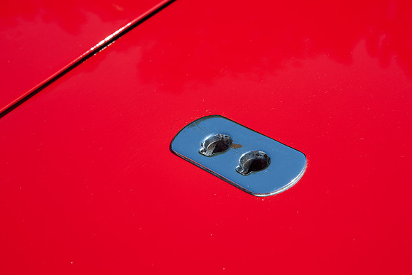0026_DG_Mill_Valley_CA_USA_2009_5L8Y1789