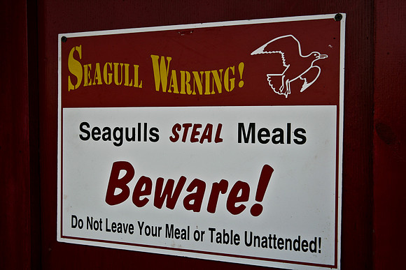 06573_ZV4N_0267_DG_COLOR_NOANK_CONNECTICUT_CT_USA_2007graphics_signs