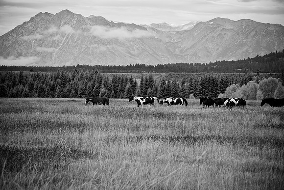 0020_Wyonming_To_Ketchem_Sun_Valley_ID_5L8Y7395