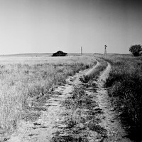 7548_B3P1_11_BW_SQ_MT_01.jpg