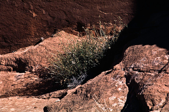 06780_B10_SL_COLOR_MOAB_UT_97_06.jpg